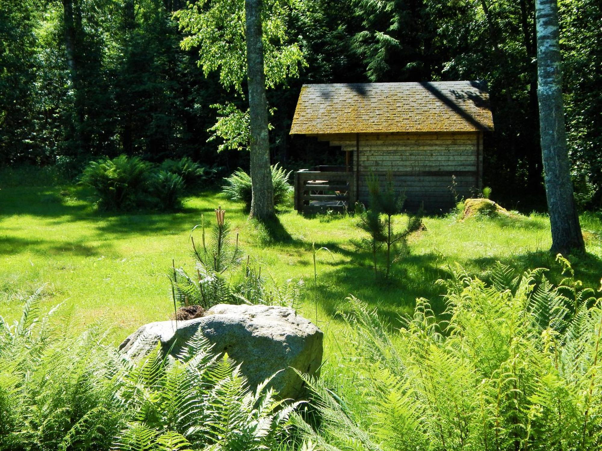 Haaviku Nature Lodge Sagadi Δωμάτιο φωτογραφία